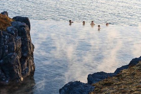 Golden Circle Elite: Friðheimar Tomato Farm & Sky Lagoon