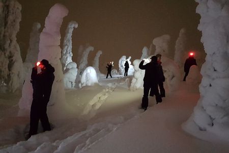 Arctic Night Snowshoeing - Stars and Northern Sky