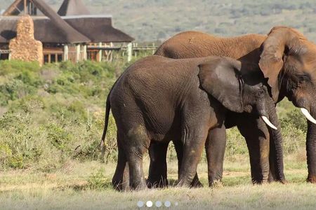 Cape town: Aquila sunset safari tour with lunch included 