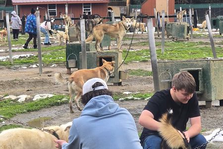 Chena Hot Springs Day Adventure 