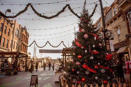 Denver City Highlights Tour