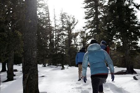Rocky Mountain National Park - Private Hiking Tour