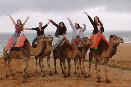 4 hour private Tour of Tangier