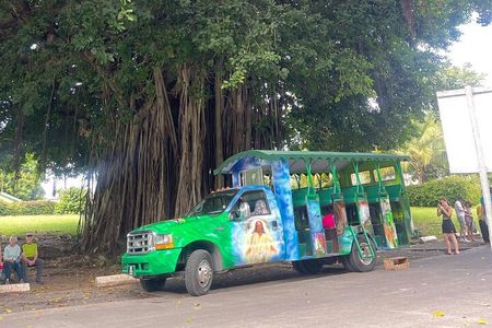 Roseau Dominica Safari Scenic: Rainforest, Falls & Karaoke