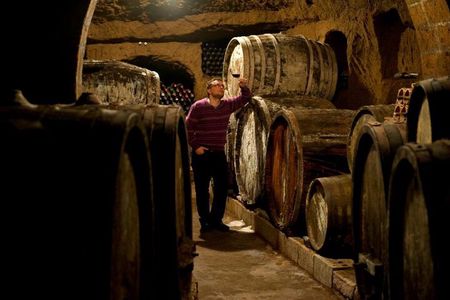 Wine Tasting with Food and Tufa Cellar Visit in Orvieto