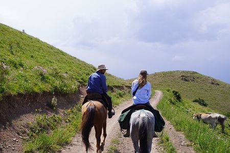 Horseback Riding Adventure in Ala archa National park