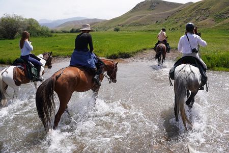 Horseback Riding Adventure in Ala archa National park