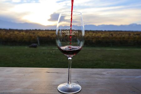 Uco Valley Wine & Bike Full Day Experience