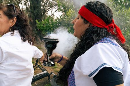 Corn and Cosmos Mexica Divination Reading