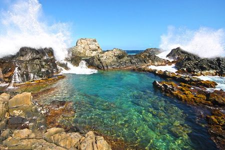 UTV and Jeep Island Adventure Mix Up