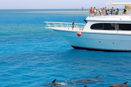 Majestic Dolphins Sea Adventure, Snorkeling, Lunch & Transfers
