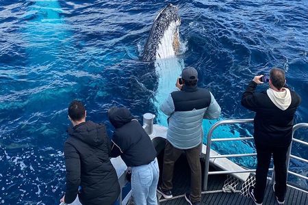 Dunsborough Whale Watching Eco Tour 