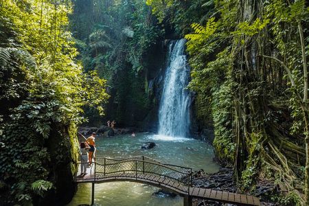Ubud Full Day Tour with Entry Tickets