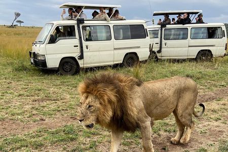 Half Day Nairobi National Park Game Drive tour. 