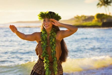Oahu Circle Island Tour Snorkeling Dole Plantation and More