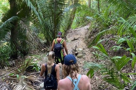 Biocultural Hiking Experience in Sayulita
