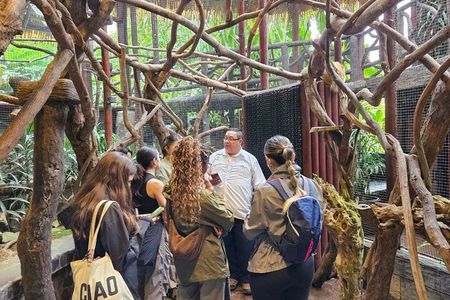 La Paz Waterfall Gardens Full-Day Tour from San José