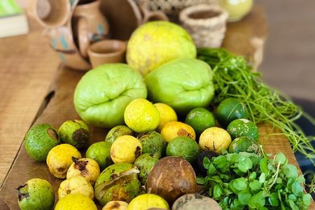 Unique Gastronomic Experience in Monteverde | Forest Flavors