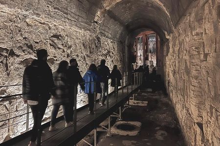 Colosseum Underground Tour with Access to Roman Forum and Palatine Hill