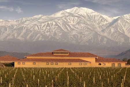 Full Day Winery in Mendoza and Tour of Potrerillos and Cacheuta