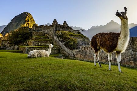 Tour de Día Completo a Machu Picchu