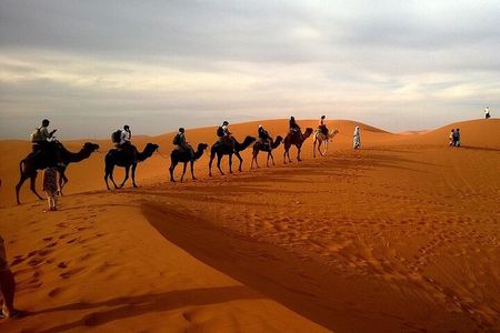 Desert Safari Dubai With Live Shows and BBQ Buffet Dinner