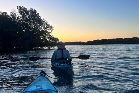 Dolphin Sanctuary Kayak Tours Twilight Mangrove Kayak