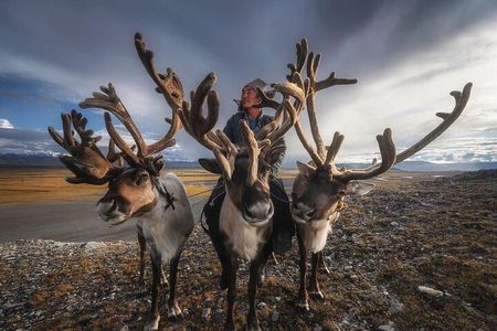 Reindeer Family Tour with Naadam Festival and Gobi Desert