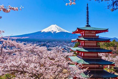 Mount Fuji Private Custom Tour with Local English Speaking Guide