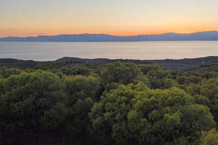 Spiritual Tour at Spetses Forest