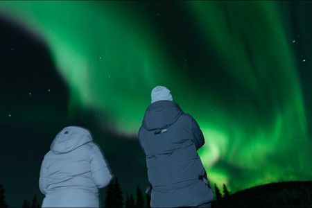Northern Lights Rovaniemi: Guaranteed Tour with Local Guide