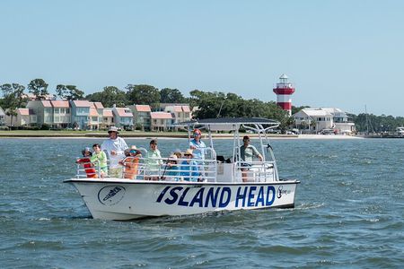 90 Minute Hilton Head Dolphin Tour