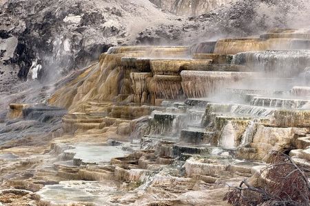 Private Guided Tour in Yellowstone National Park