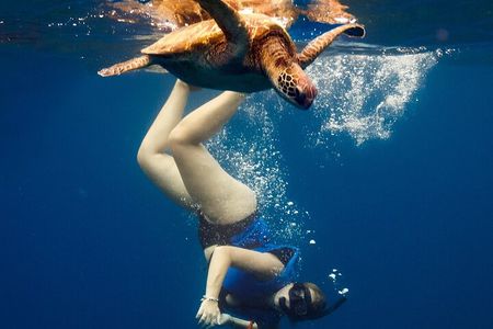 Want to escape? Treat yourself to a snorkeling session in Tahiti!