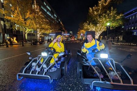 Yokohama Go Kart Adventure Iconic Sights and Fun Drive