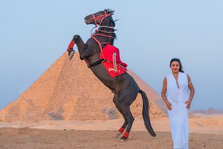 Pyramids of Giza & Professional photoshoot