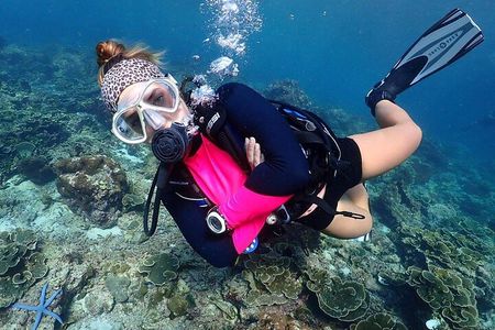 Hurghada Underwater Adventure – Full-Day Scuba Diving with Lunch