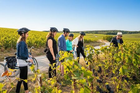 From Reims afternoon e-bike tour, visit and champagne tastings