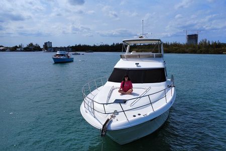Miami Private 52 ft Boat Tour | Sandbar, Dolphins & Biscayne Bay!