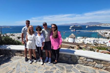 Discover Mykonos Island In Half Day Private Tour