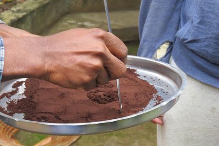 Authentic Arusha Coffee Experience