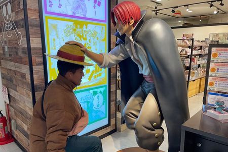 Private & Fully Customized Tokyo/Yokohama Tour