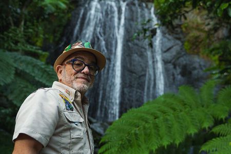 El Yunque Educational Rainforest Walk Easy and Family Friendly