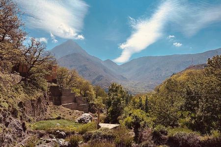 From Marrakech : Atlas Mountains 4 hours hike to talamrout summit