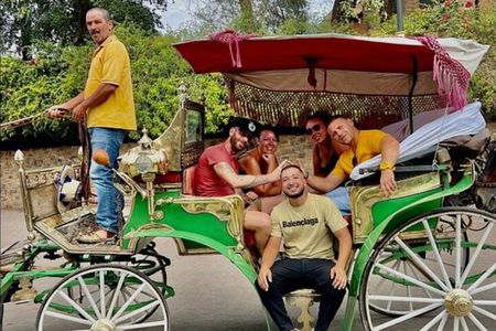 Marrakech: 1H-Horse carriage private tour in madina w/ pick-up