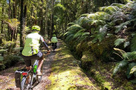 One Day Tour from Hokitika on Wilderness Trail by eBike