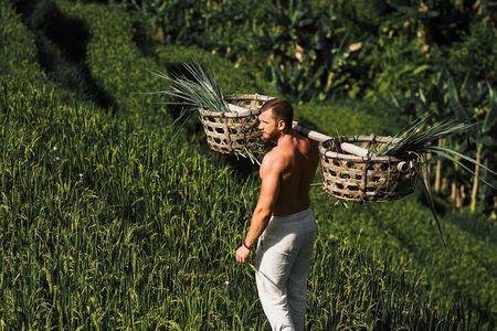 Ultimate Ubud Experience All Inclusive Private Day Tour
