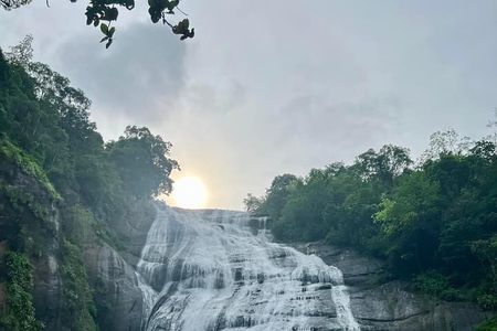 Sinharaja Rainforest & Madu River Boat Safari [ALL INCLUSIVE]