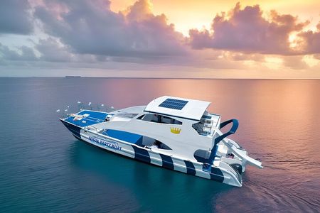 Puerto Plata Private Sunset Catamaran with Open Bar and BBQ