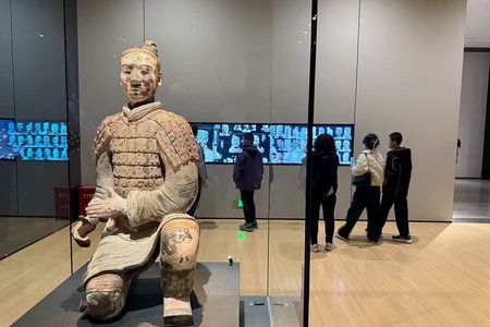 Terracotta tickets with professional guide in English /Italian 